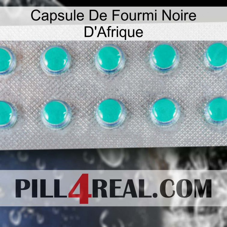 Africa Black Ant Capsule 28